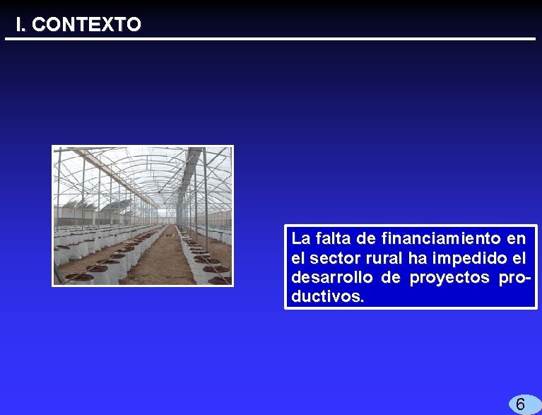 I. CONTEXTO La falta de financiamiento en el sector rural ha impedido el desarrollo