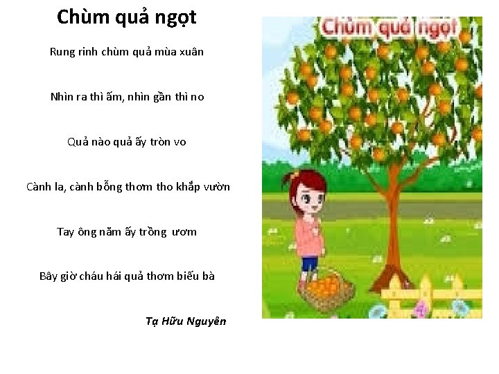 Chùm quả ngọt Rung rinh chùm quả mùa xuân Nhìn ra thì ấm, nhìn