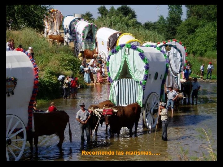 Recorriendo las marismas…. . 