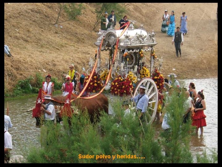 Sudor polvo y heridas…. . 
