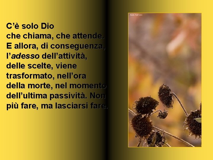 C’è solo Dio che chiama, che attende. E allora, di conseguenza, l’adesso dell’attività, delle