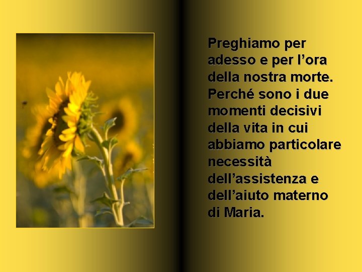 Preghiamo per adesso e per l’ora della nostra morte. Perché sono i due momenti