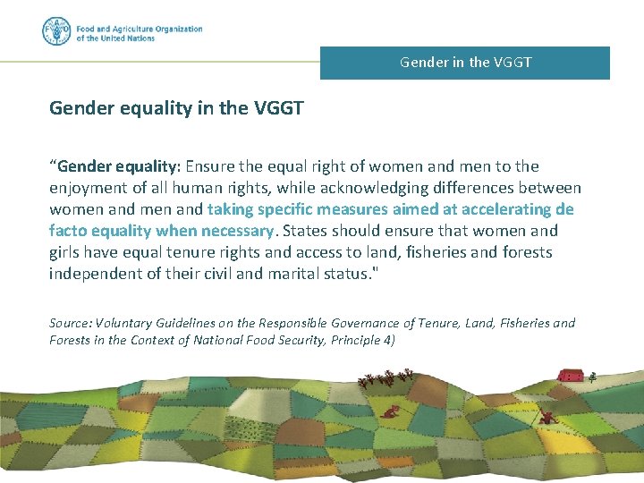 Gender in the VGGT Gender equality in the VGGT “Gender equality: Ensure the equal