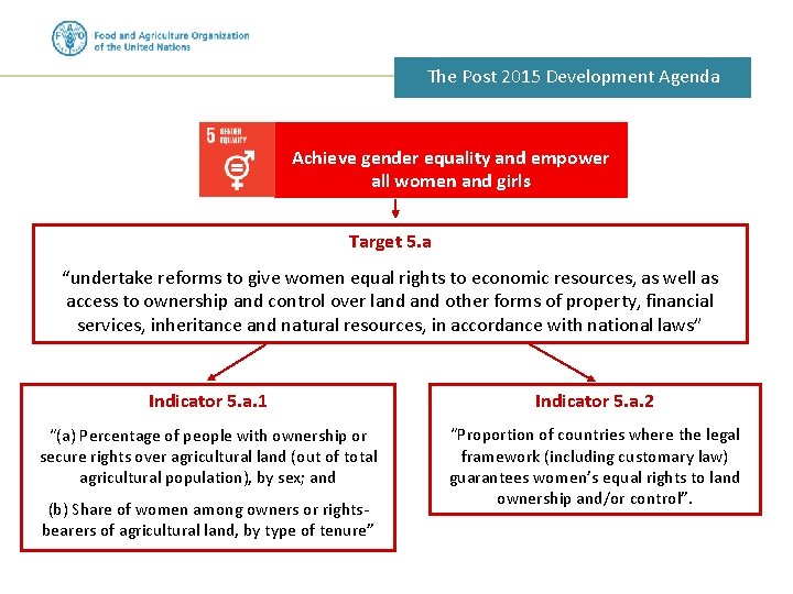 The Post 2015 Development Agenda Achieve gender equality and empower all women and girls