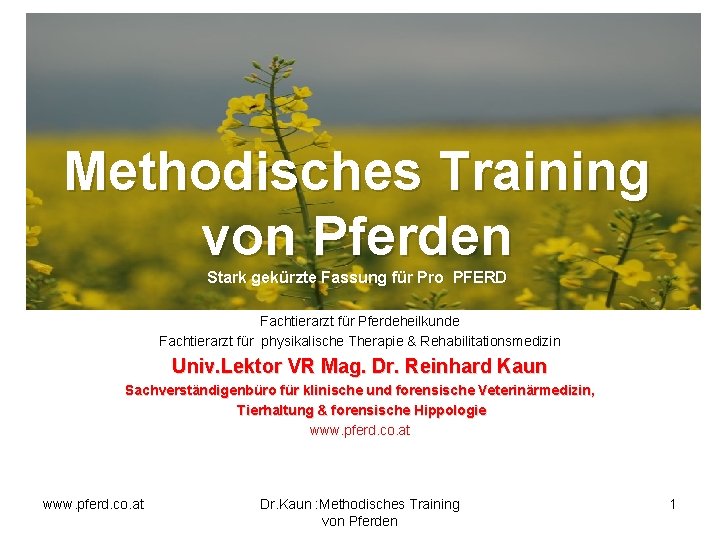 Methodisches Training von Pferden Stark gekürzte Fassung für Pro PFERD Fachtierarzt für Pferdeheilkunde Fachtierarzt