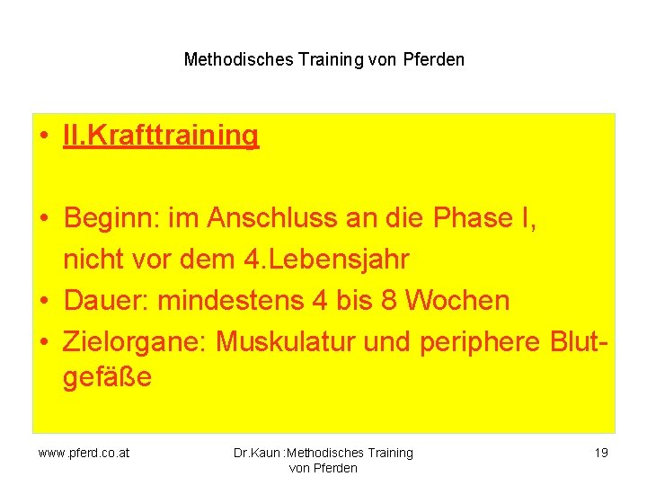Methodisches Training von Pferden • II. Krafttraining • Beginn: im Anschluss an die Phase