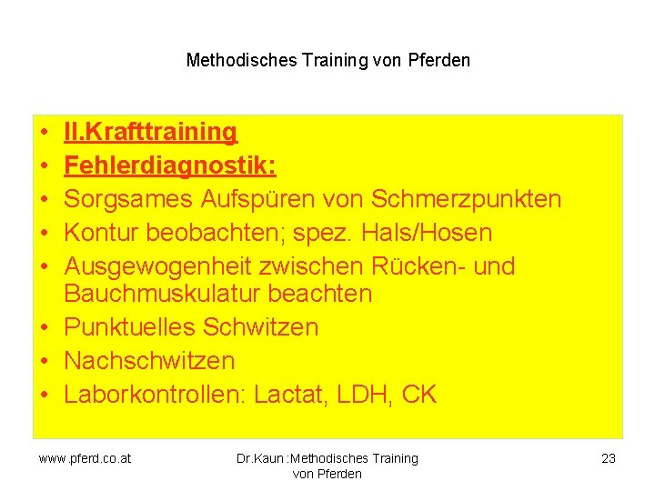 Methodisches Training von Pferden • • • II. Krafttraining Fehlerdiagnostik: Sorgsames Aufspüren von Schmerzpunkten