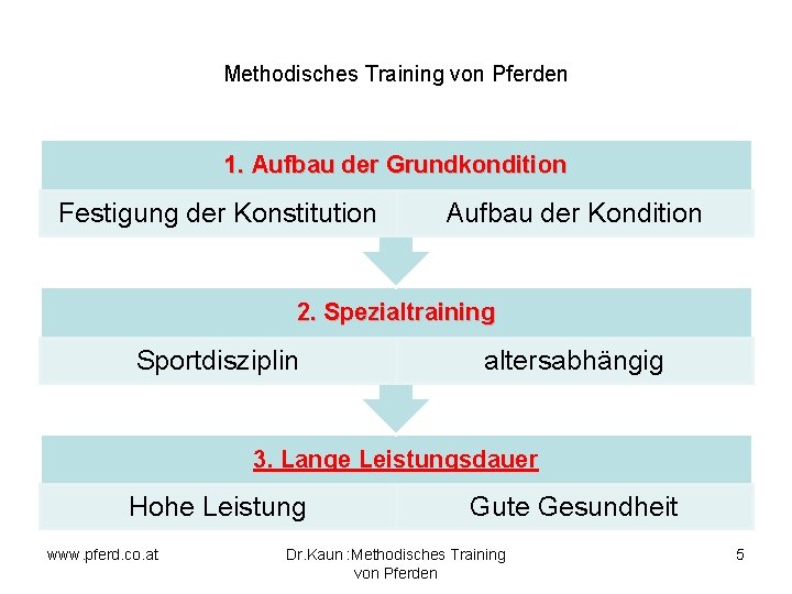 Methodisches Training von Pferden 1. Aufbau der Grundkondition Festigung der Konstitution Aufbau der Kondition