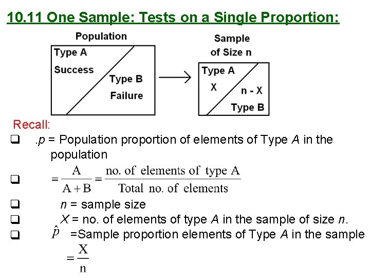 10. 11 One Sample: Tests on a Single Proportion: Recall: q . p =