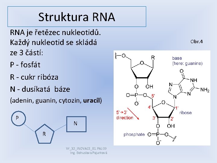 Struktura RNA je řetězec nukleotidů. Každý nukleotid se skládá ze 3 částí: P -
