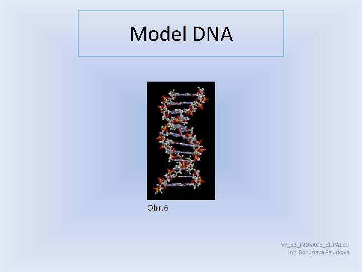 Model DNA Obr. 6 VY_32_INOVACE_B 1. PAJ. 09 Ing. Bohuslava Pajurková 
