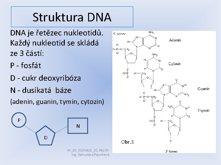 Struktura DNA je řetězec nukleotidů. Každý nukleotid se skládá ze 3 částí: P -