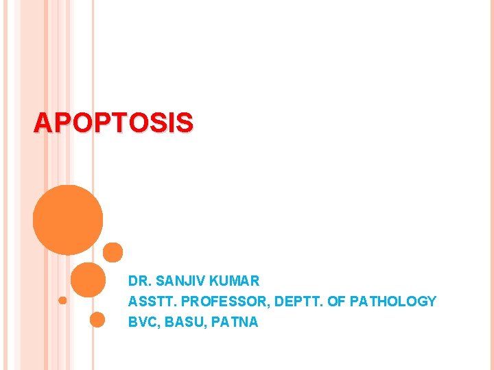 APOPTOSIS DR. SANJIV KUMAR ASSTT. PROFESSOR, DEPTT. OF PATHOLOGY BVC, BASU, PATNA 