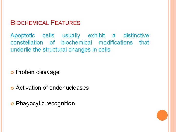 BIOCHEMICAL FEATURES Apoptotic cells usually exhibit a distinctive constellation of biochemical modifications that underlie