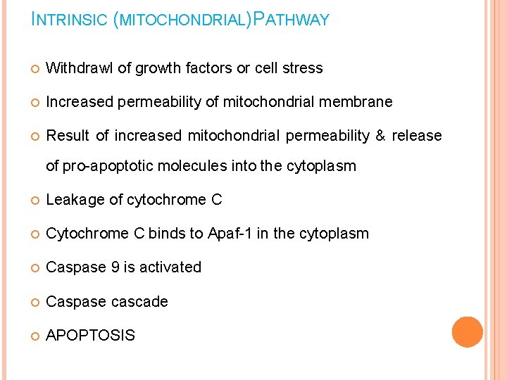 INTRINSIC (MITOCHONDRIAL)PATHWAY Withdrawl of growth factors or cell stress Increased permeability of mitochondrial membrane