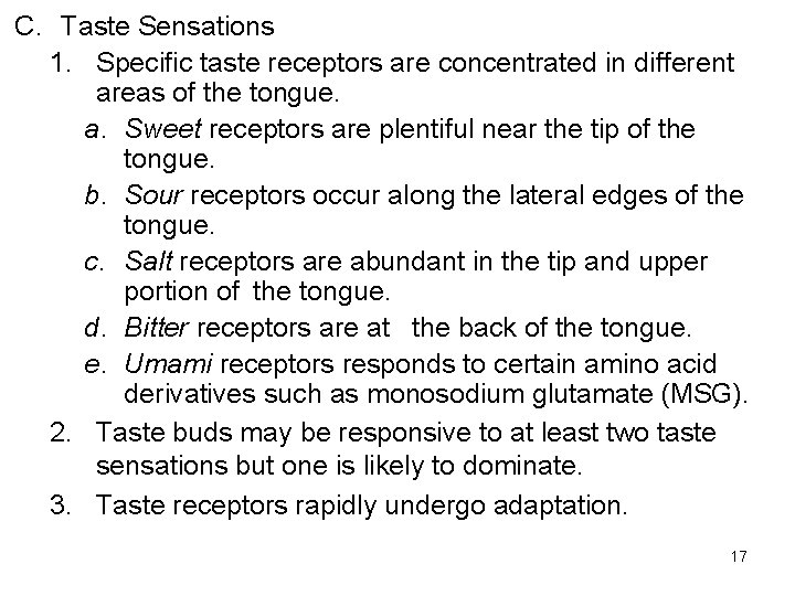 Chapter 10 The Senses Copyright The Mc GrawHill