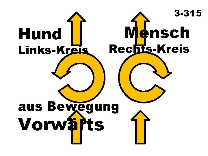 3 -315 Hund Links-Kreis Rechts-Kreis aus Bewegung Vorwärts Mensch 