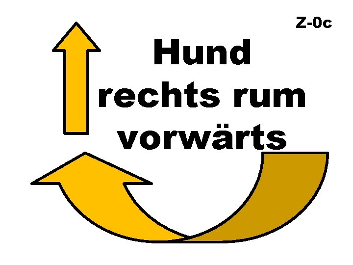 Z-0 c Hund rechts rum vorwärts 