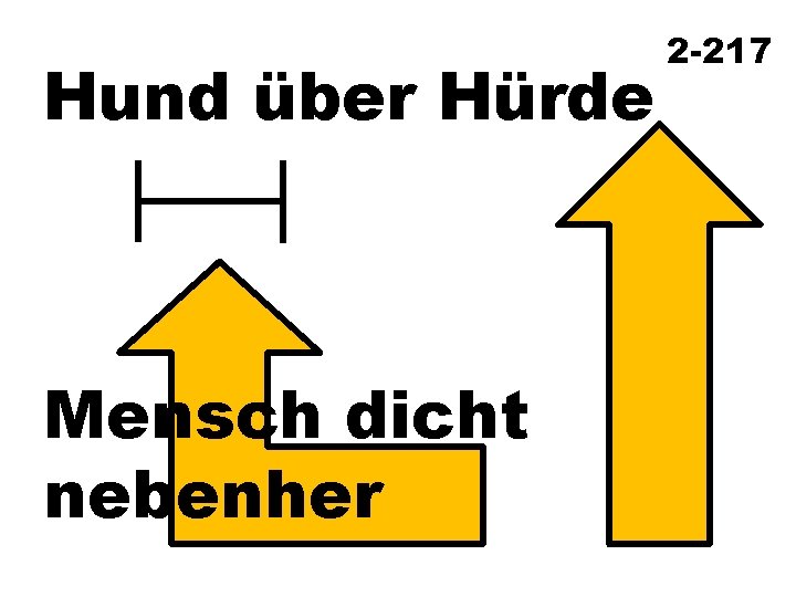Hund über Hürde Mensch dicht nebenher 2 -217 