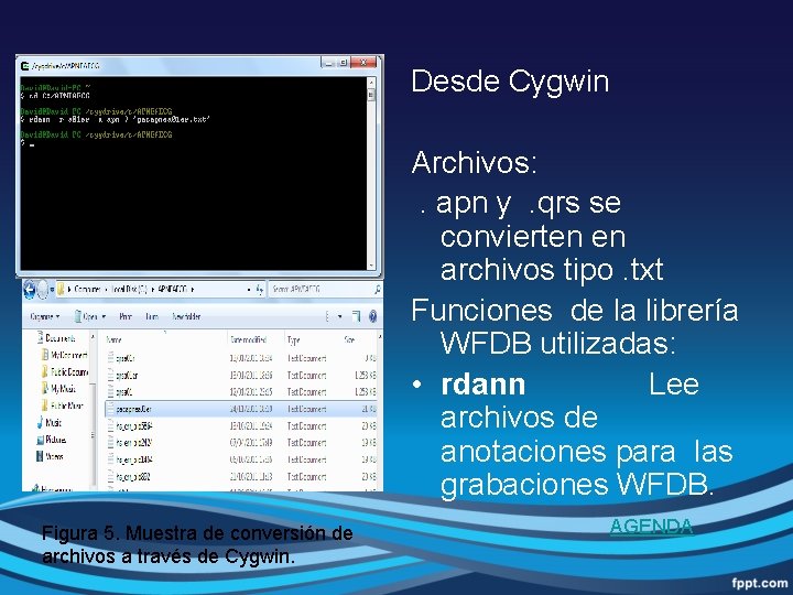 Desde Cygwin Archivos: . apn y . qrs se convierten en archivos tipo. txt