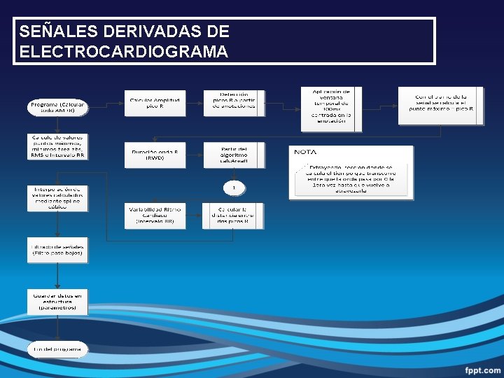 SEÑALES DERIVADAS DE ELECTROCARDIOGRAMA 