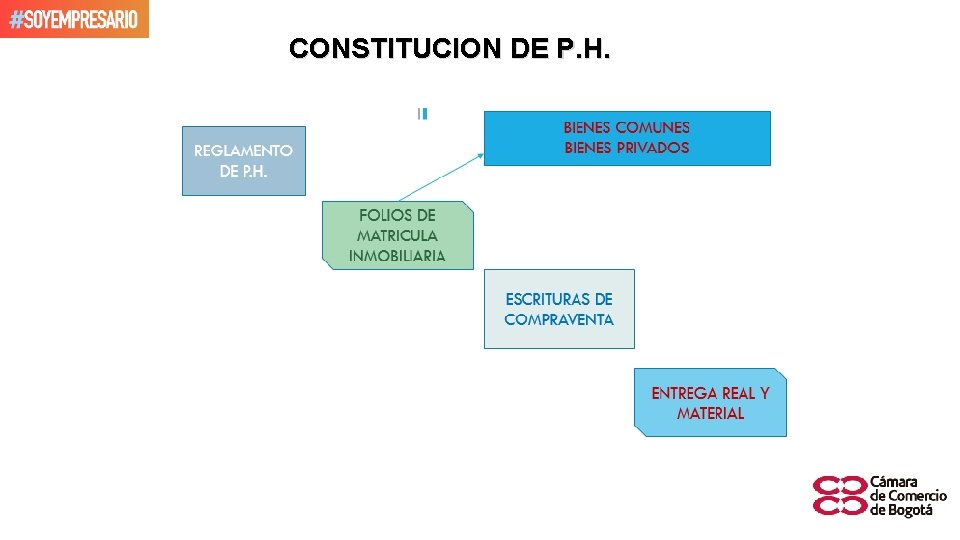 CONSTITUCION DE P. H. 