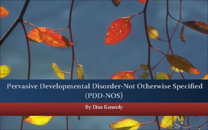 Pervasive Developmental Disorder-Not Otherwise Specified (PDD-NOS) By Dina Kennedy 