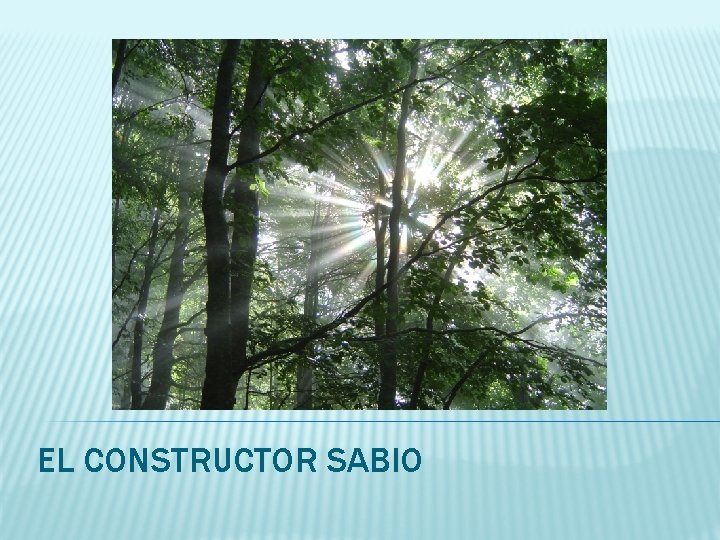 EL CONSTRUCTOR SABIO 