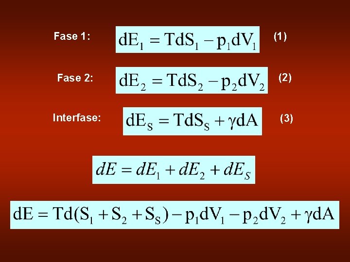 Fase 1: (1) Fase 2: (2) Interfase: (3) 