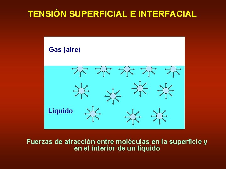 TENSIÓN SUPERFICIAL E INTERFACIAL Gas (aire) Líquido Fuerzas de atracción entre moléculas en la