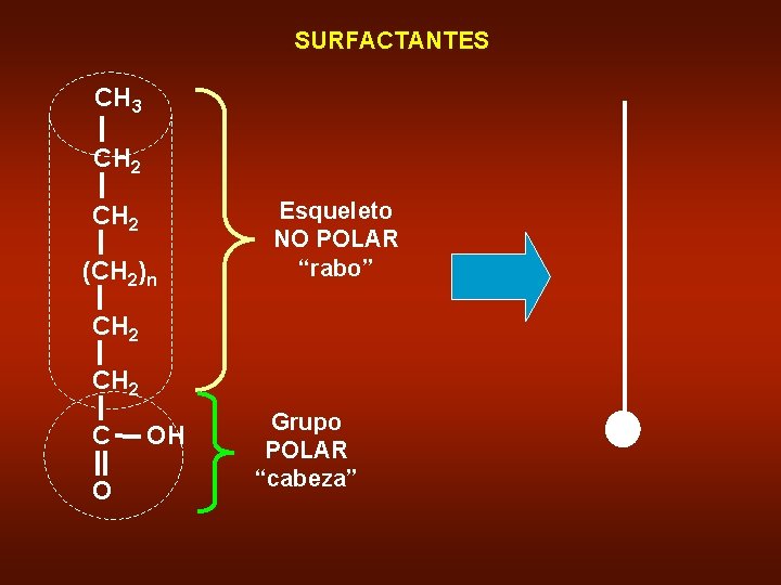 SURFACTANTES CH 3 CH 2 (CH 2)n Esqueleto NO POLAR “rabo” CH 2 C