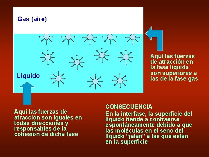 Gas (aire) Líquido Aquí las fuerzas de atracción son iguales en todas direcciones y