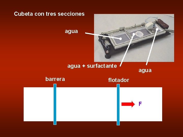 Cubeta con tres secciones agua + surfactante barrera agua flotador F 