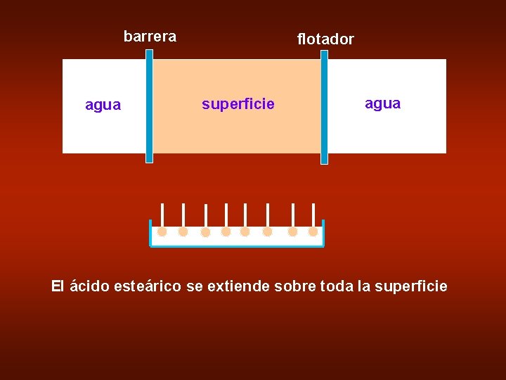 barrera agua flotador superficie agua El ácido esteárico se extiende sobre toda la superficie