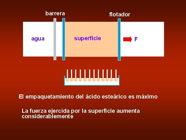 barrera agua flotador superficie F El empaquetamiento del ácido esteárico es máximo La fuerza
