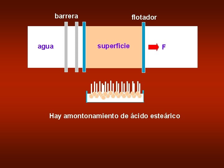 barrera agua flotador superficie F Hay amontonamiento de ácido esteárico 