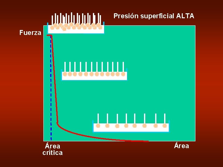Presión superficial ALTA Fuerza Área crítica Área 