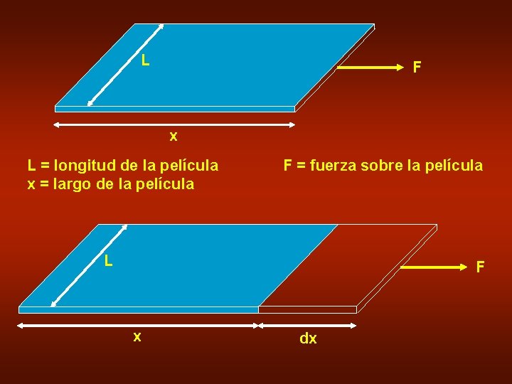 L F x L = longitud de la película x = largo de la