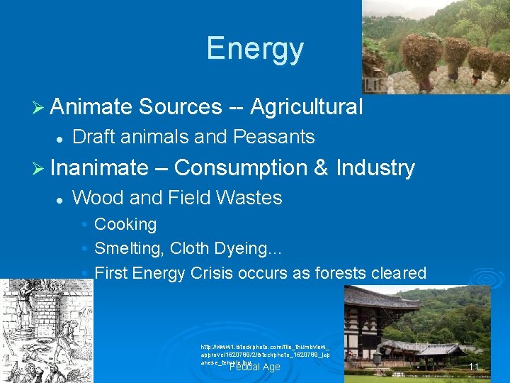 Energy Ø Animate Sources -- Agricultural l Draft animals and Peasants Ø Inanimate –