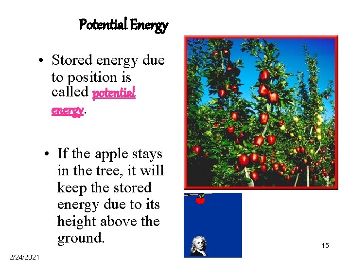 Potential Energy • Stored energy due to position is called potential energy. • If