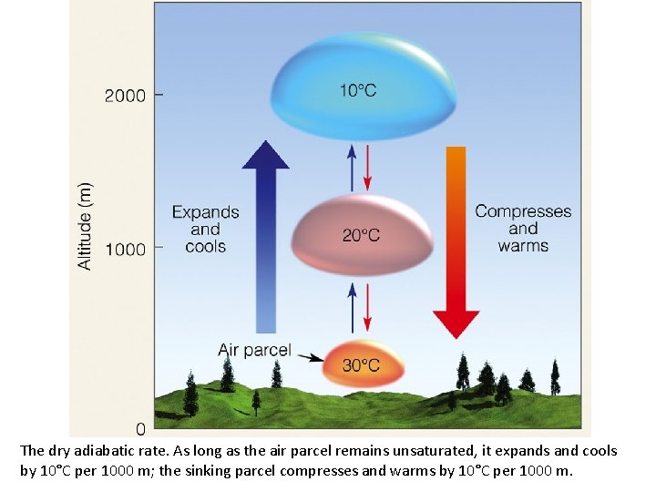 The dry adiabatic rate. As long as the air parcel remains unsaturated, it expands