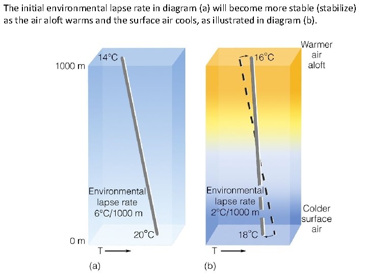 The initial environmental lapse rate in diagram (a) will become more stable (stabilize) as