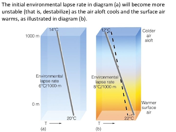 The initial environmental lapse rate in diagram (a) will become more unstable (that is,