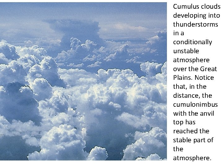 Cumulus clouds developing into thunderstorms in a conditionally unstable atmosphere over the Great Plains.