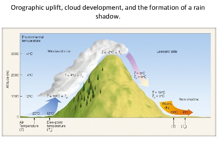 Orographic uplift, cloud development, and the formation of a rain shadow. 