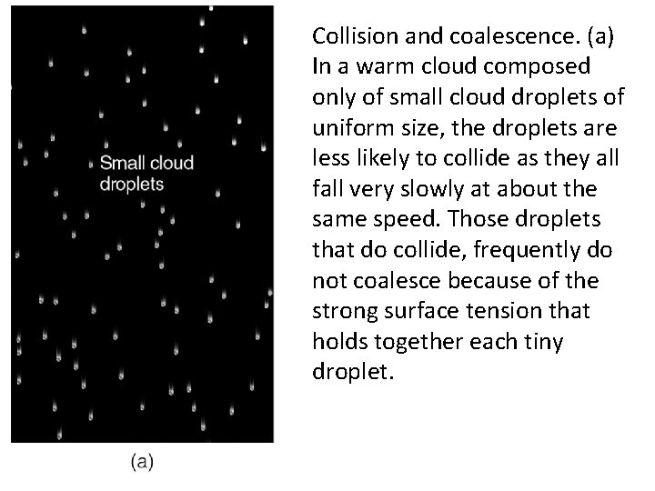 Collision and coalescence. (a) In a warm cloud composed only of small cloud droplets