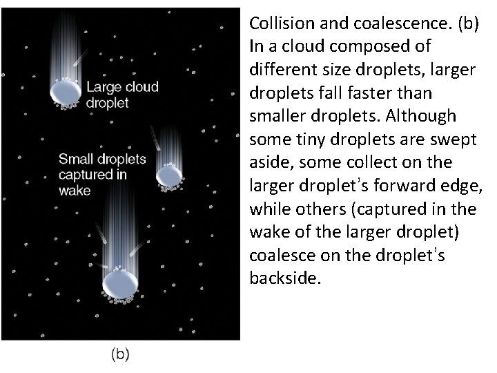 Collision and coalescence. (b) In a cloud composed of different size droplets, larger droplets