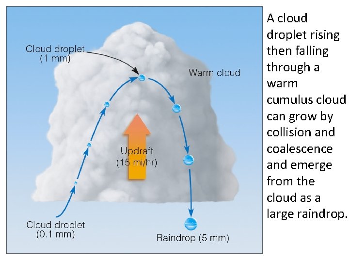 A cloud droplet rising then falling through a warm cumulus cloud can grow by