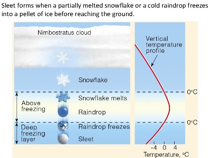 Sleet forms when a partially melted snowflake or a cold raindrop freezes into a