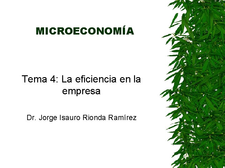 MICROECONOMÍA Tema 4: La eficiencia en la empresa Dr. Jorge Isauro Rionda Ramírez 